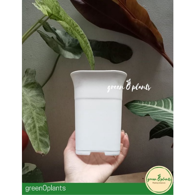 Pot Bunga Tanaman Plastik NKT Kotak 10 Putih