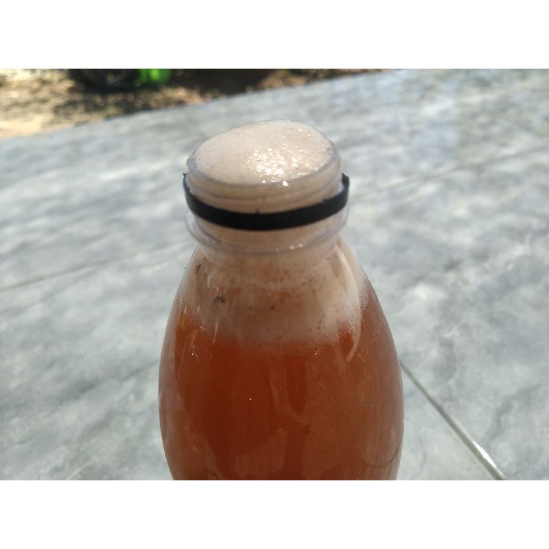 

MADU BUYAZ / MADU HUTAN ASLI PULAU SUMBAWA 100% kemasan 500ml