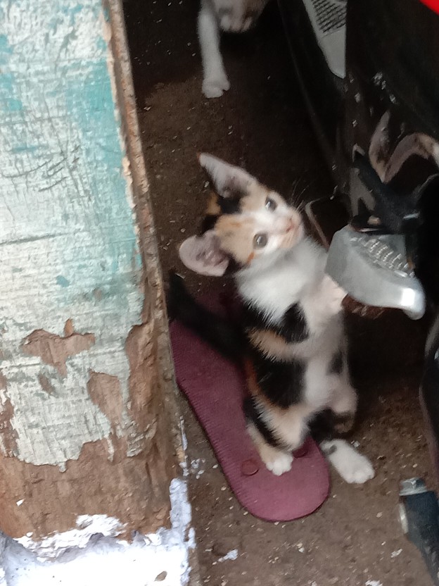 Storage Keranjang Multifungsi Desktop Box Organizer Nj55