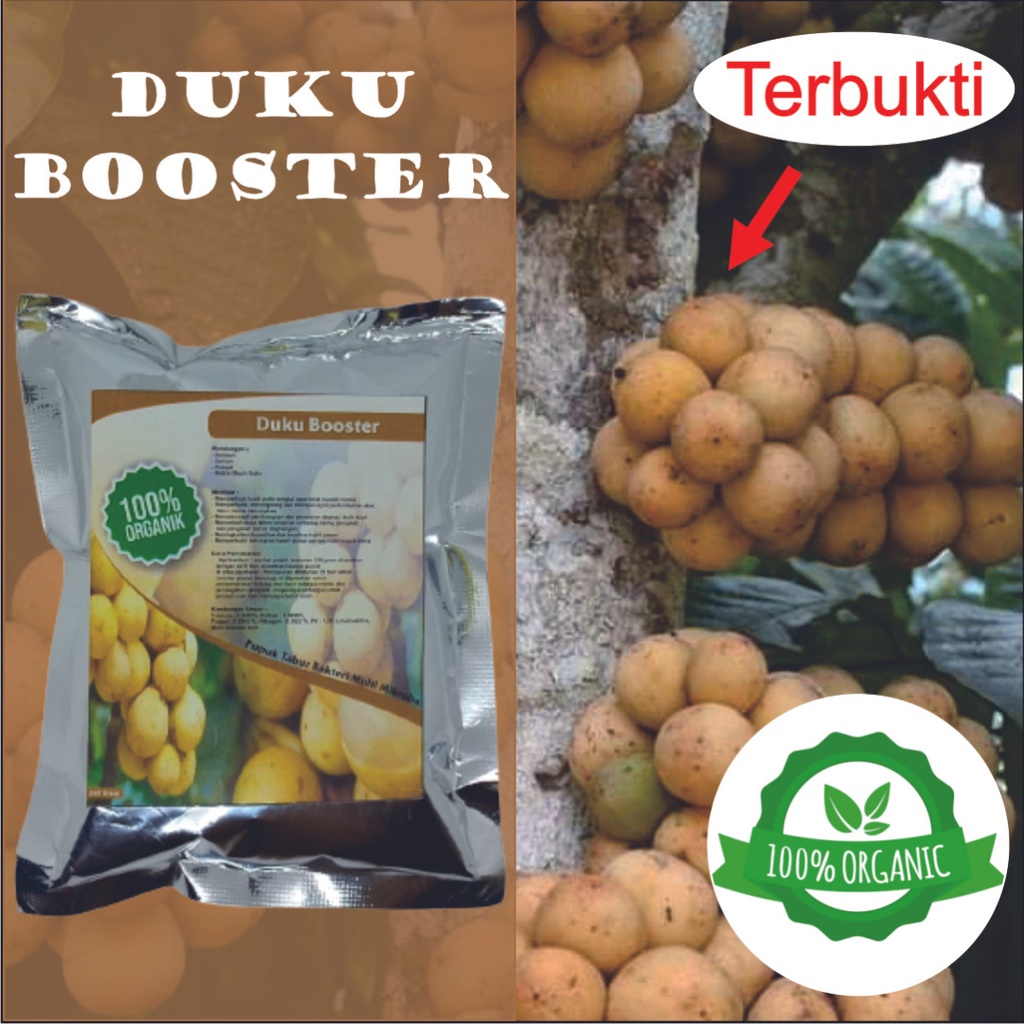 PUPUK BOOSTER DUKU || PUPUK DUKU || PERANGSANG BUAH
