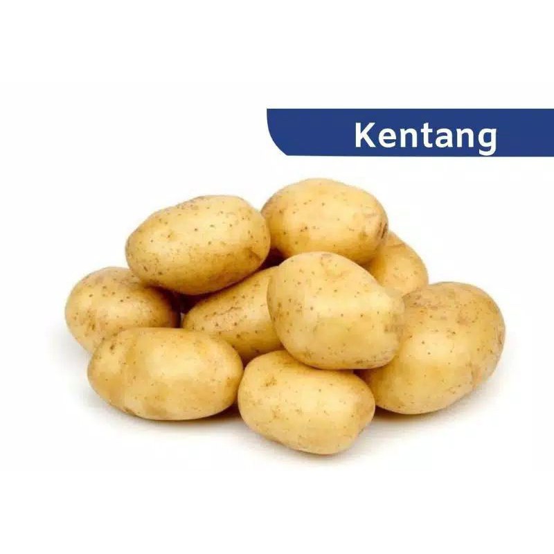 

TERMURAH!!! KENTANG SAYUR