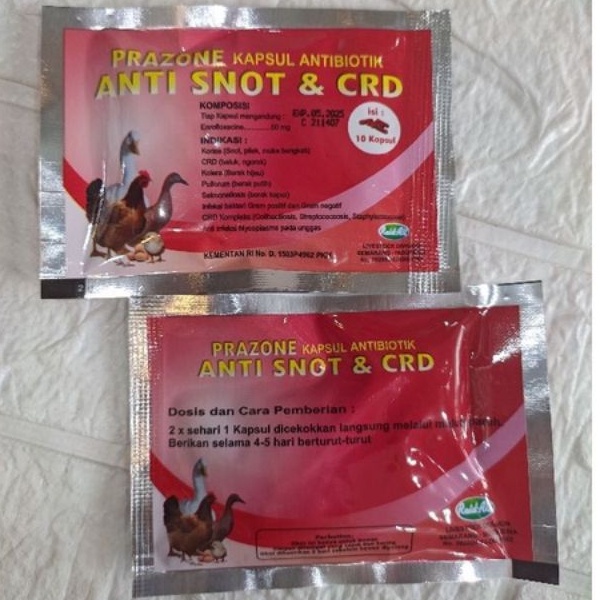 ANTI SNOT DAN CRD RAID ALL || OBAT PILEK AYAM 10 KAPSUL