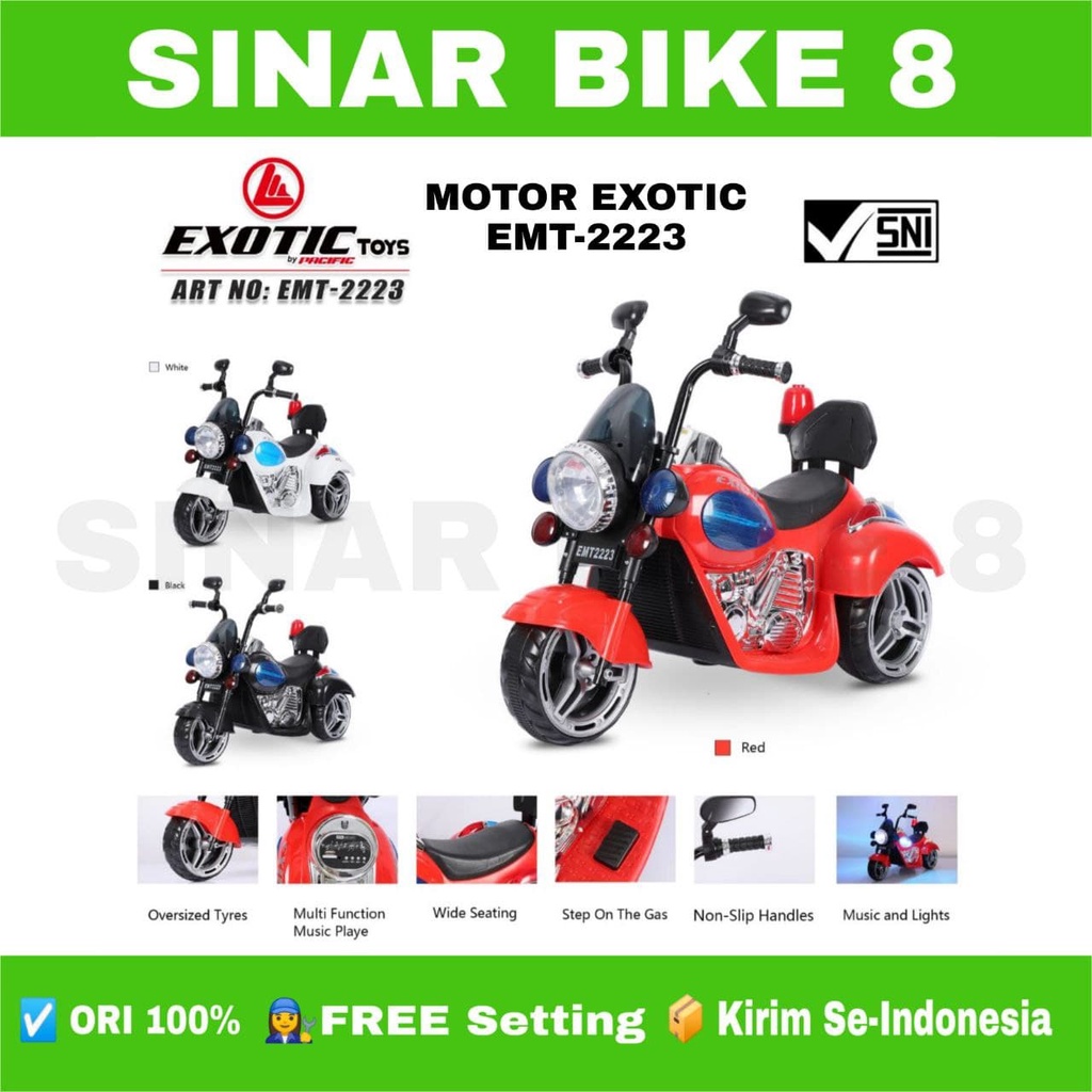 MAINAN MOTOR AKI EXOTIC EMT 2223 Harley DESIGN