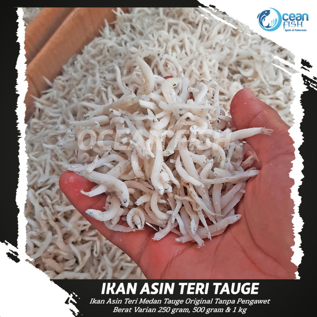

Ikan Asin Teri Tauge Medan - Teri Touge Medan Asli - Ikan Asin Teri Tanpa Pengawet