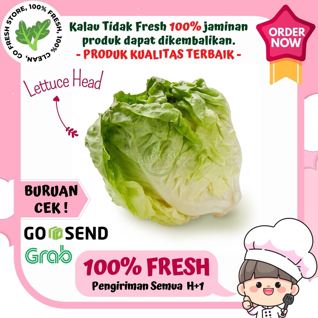 

SELADA / LETTUCE HEAD SAYURAN SEGAR LOKAL MURAH 500 GRAM