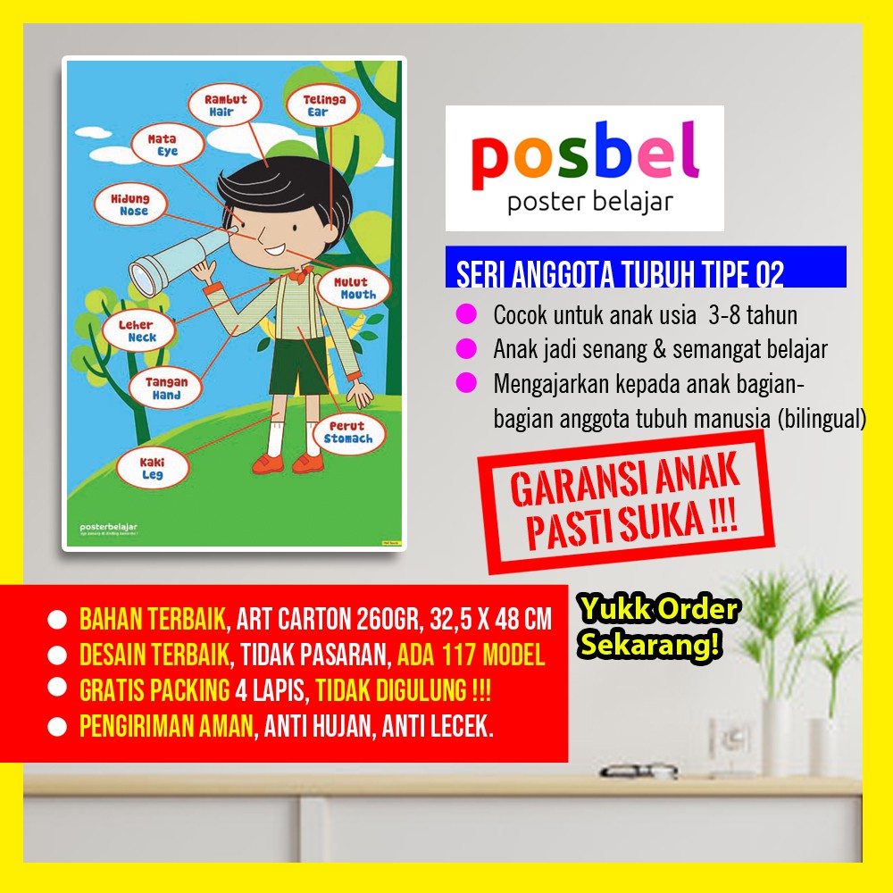 Poster Edukasi ANGGOTA TUBUH Tipe 02 Mainan Edukatif Belajar Dinding