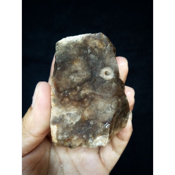 Rough Bahan Fosil Kayu Sungkai Kalimantan