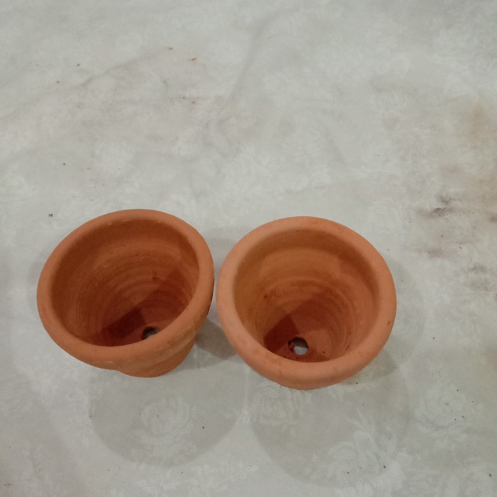  Pot  Mini untuk Tanaman air Kaktus Tanaman Kecil  dari  