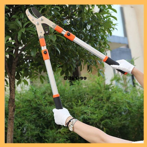 Gunting dahan pohon ranting gagang panjang gunting ranting tajam