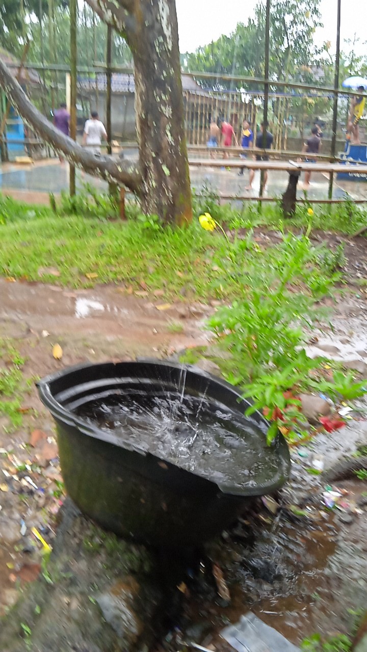 Gorden Tali Elisabeth New