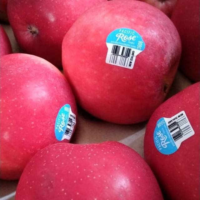

BUAH APEL PACIFIC ROSE (0,9-1 KG) - APPLE FRUIT