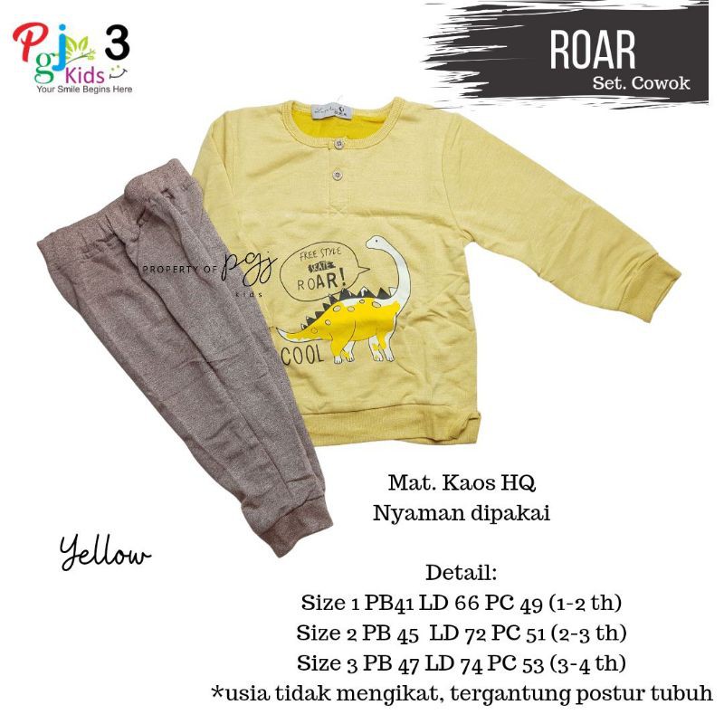 ROAR setelan anak laki-laki by pgj kids