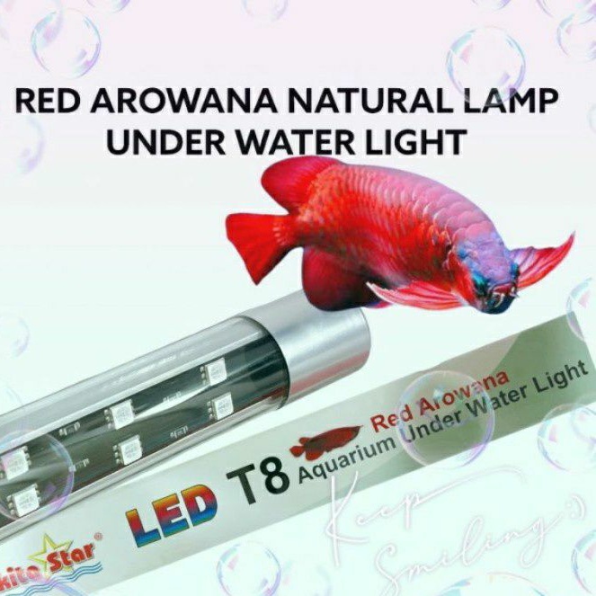 Lampu Tenning Arowana Nikita Star T8 600 - 1200 Cm Lampu nikita