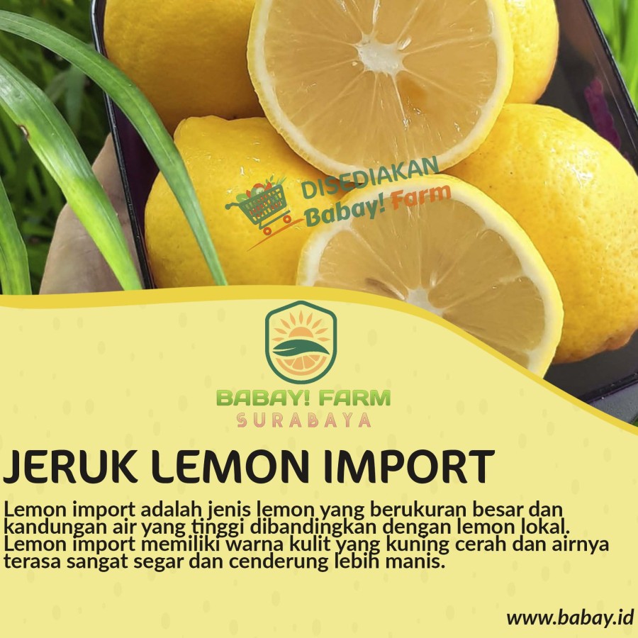 

Jeruk Lemon Import 500 gr / 1 kg