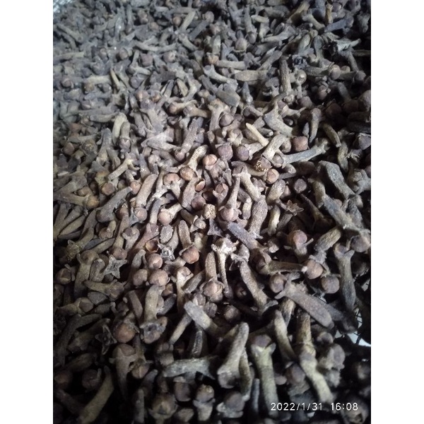 

[Fresh] CENGKIH BUAH CENGKIH KERING CENGKEH KERING BUMBU MASAK