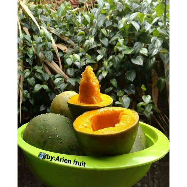

Mangga HM Super siap konsumsi