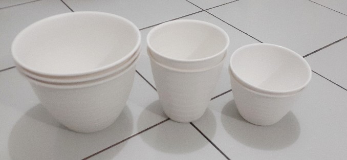 Pot Bunga Tanaman Tawon Putih Tinggi (pirus) 12cm - Mini