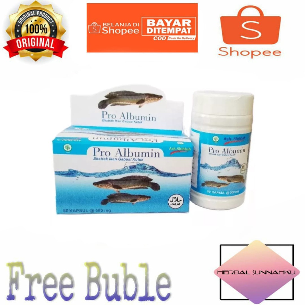 Pro Albumin Ash-Shihhah Kapsul Ekstrak Ikan Gabus / SAH Ekstrak Albumin Ikan Gabus 60 Kapsul / Azzay