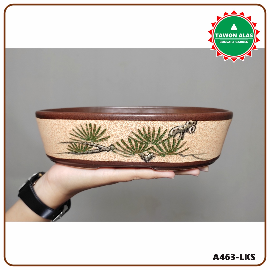 Pot Bonsai Keramik Oval