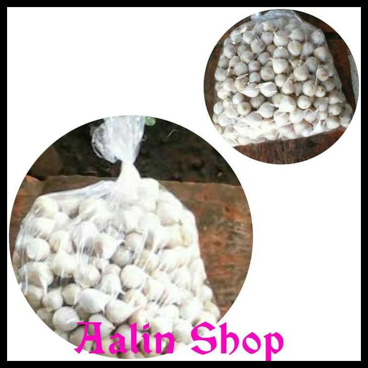 

BAWANG PUTIH TUNGGAL/BAWANG LANANG