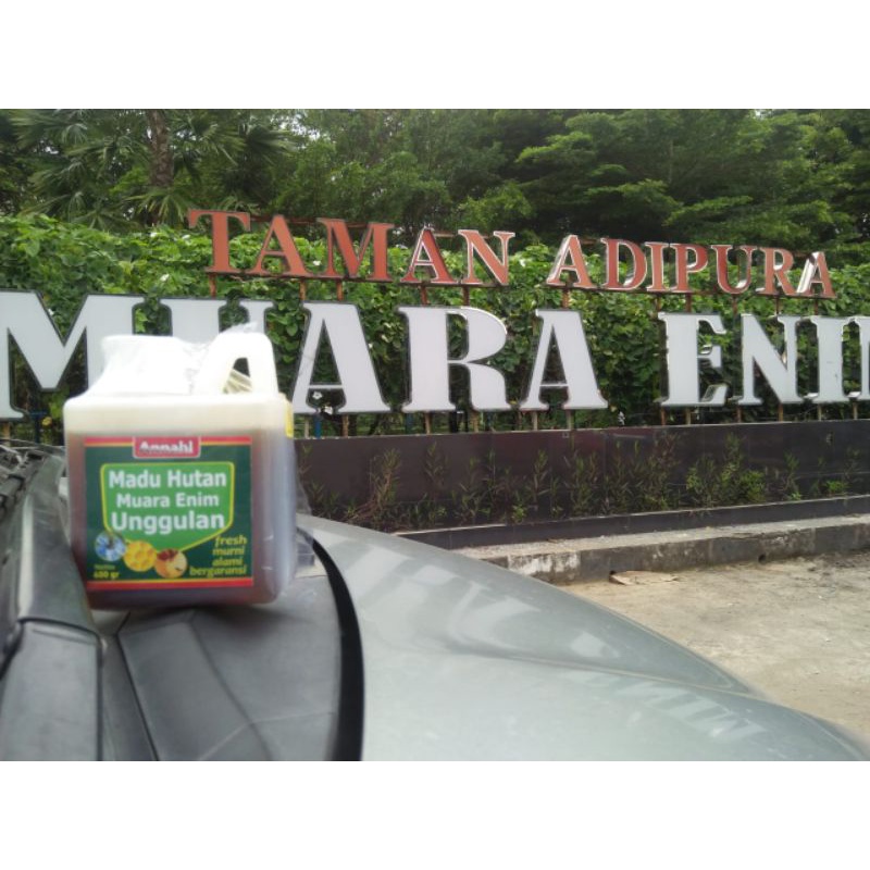 

Madu hutan muara enim
