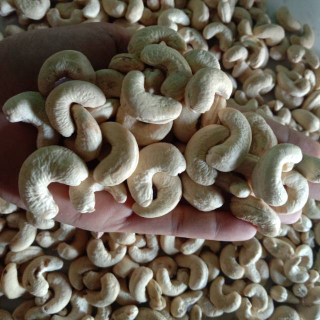 

Kacang mete produksi sendiri