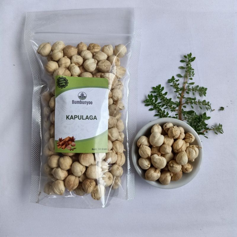 

Kapulaga Kering Premium / Kapol | 50 Gram | Rempah & Bumbu Masak
