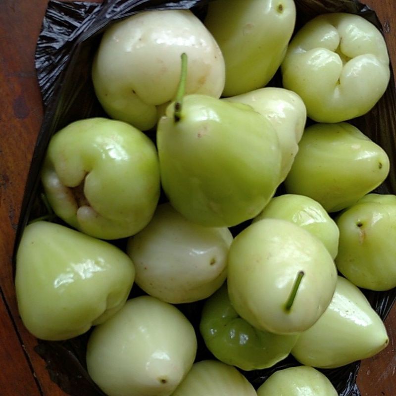 

Jambu Air / Klampok segar