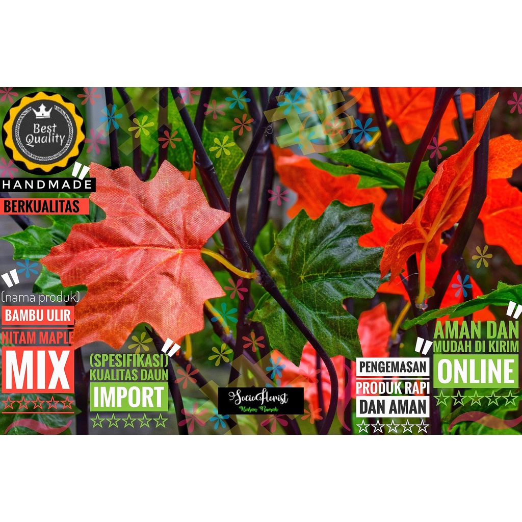 bambu ulir hias 10 Btg Bambu Ulir Hitam Maple Mix 190cm (Tanpa Pot)