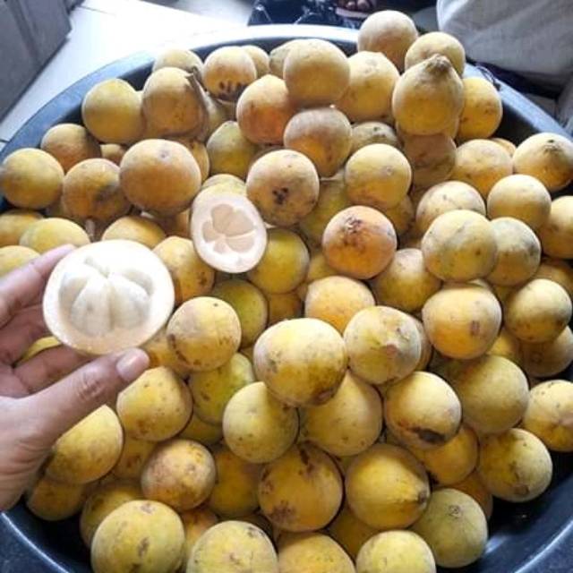 

buah kecapi