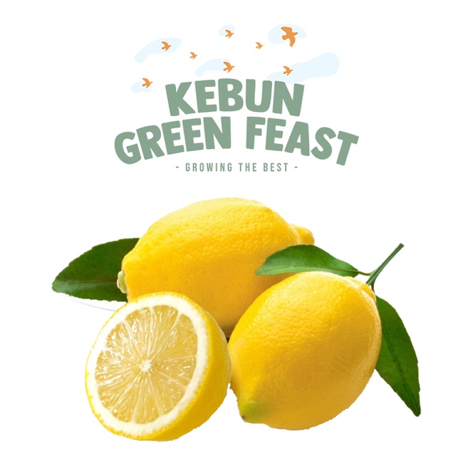 

Lemon Import Fresh