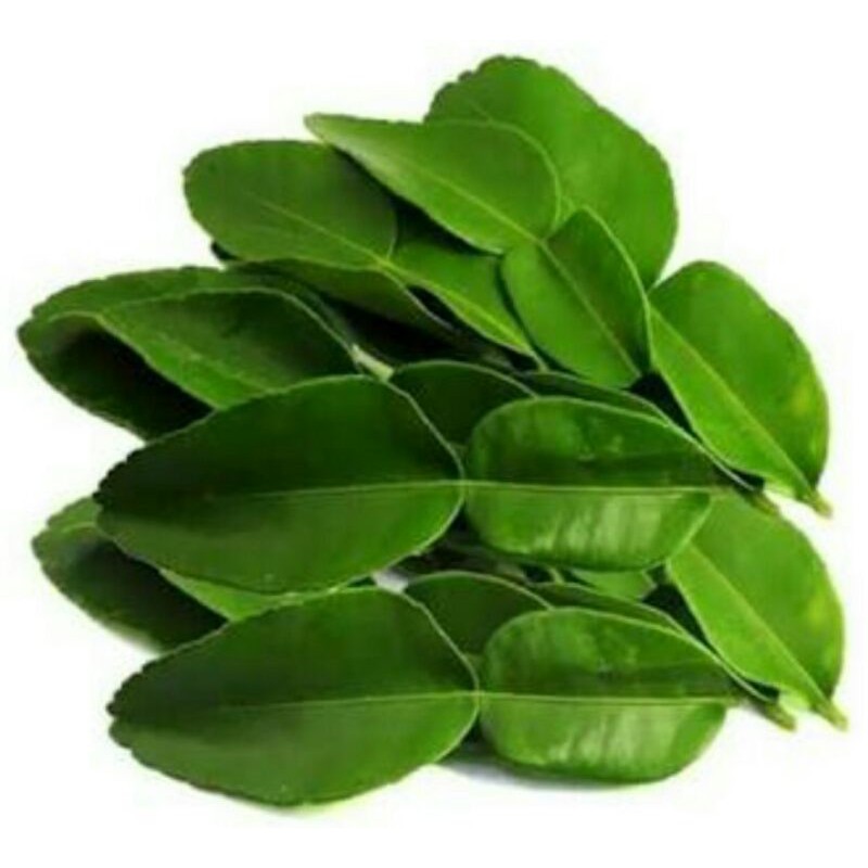 

Daun Jeruk Penyedap Masakan/100gr