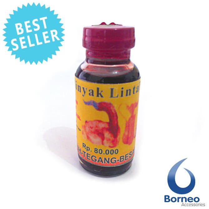 Minyak Lintah Asli kalimantan