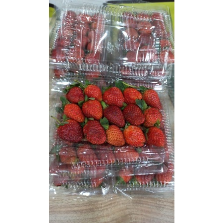 Buah Strawberry Segar Strawbery Pack 100-150 gram