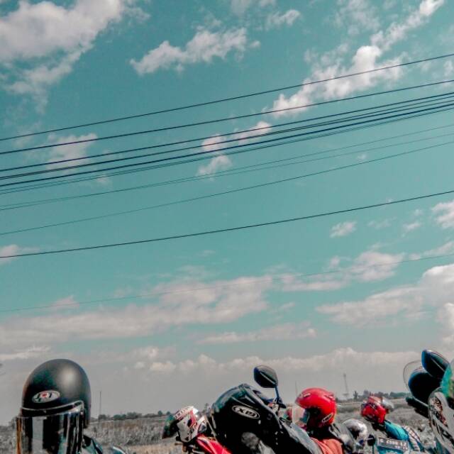 bungavirgo07