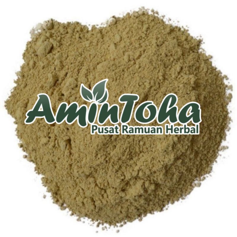 

Serbuk Daun Meniran Kemasan 500 gram Simplisia Serbuk Daun Phyllanthus niruri Powder