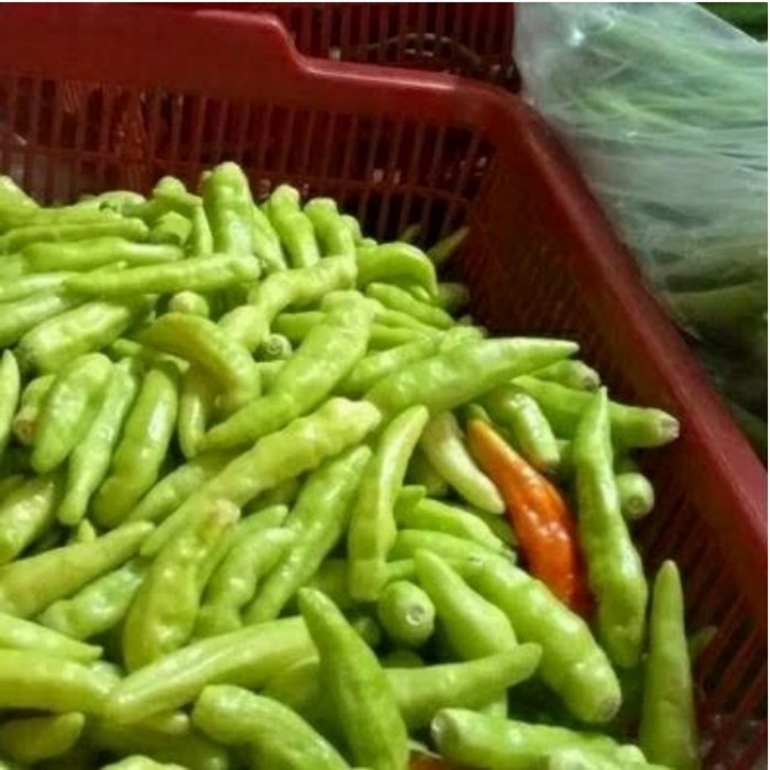 

Cabe Rawit Putih Petik - 250 Gram
