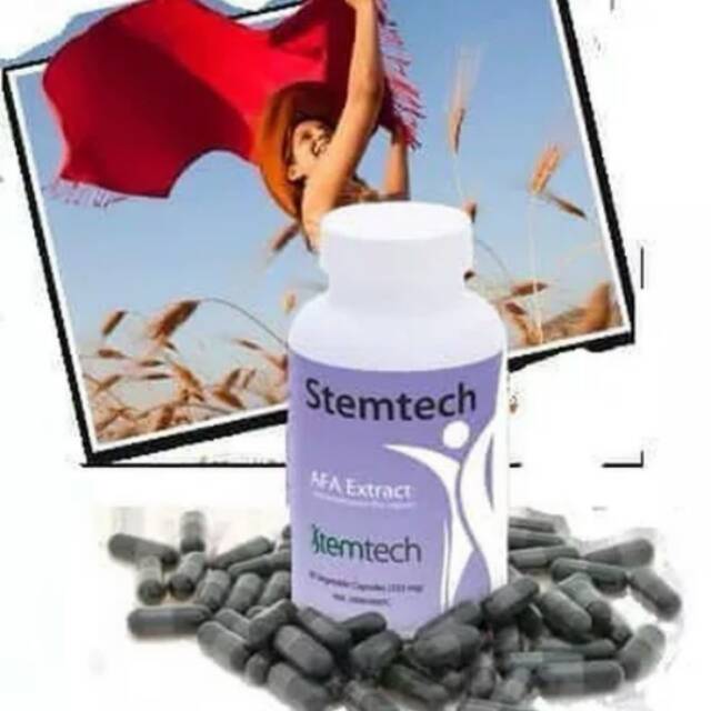 STEMTECH AFA EXTRACT ORIGINAL
