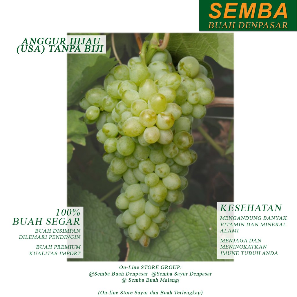 

ANGGUR HIJAU USA buah fruit sayuran sembako food makanan pangan fresh segar murah DENPASAR BALI