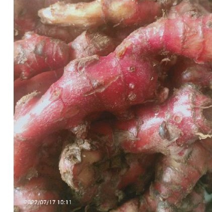 

Korzaln Jahe Merah Cuci 1Kg Size Kecil