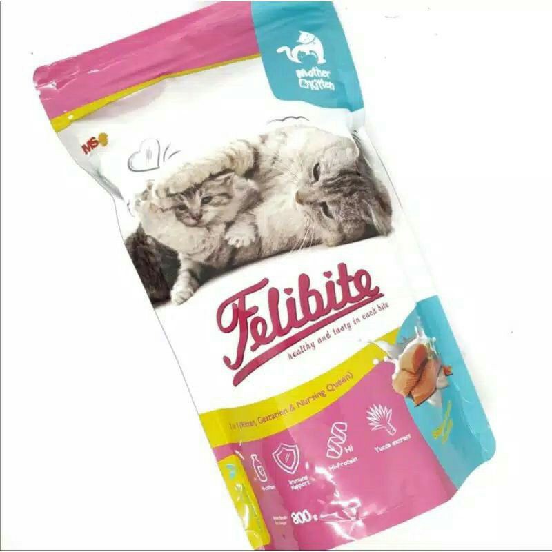 felibite mother kitten