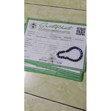 Ring Apbn Murai Batu RESMI ORIGINAL.