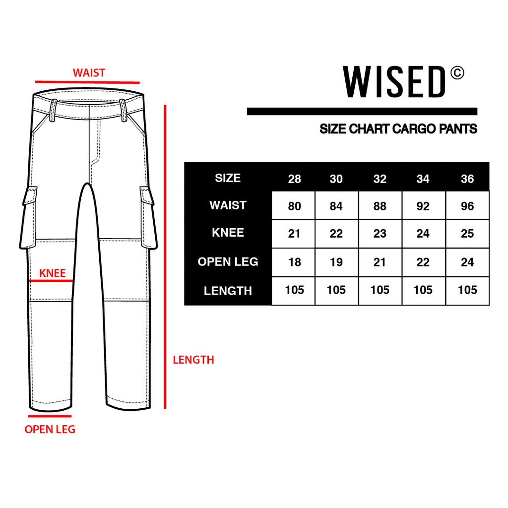 WISED | MADNESS | CARGO PANTS WASHED