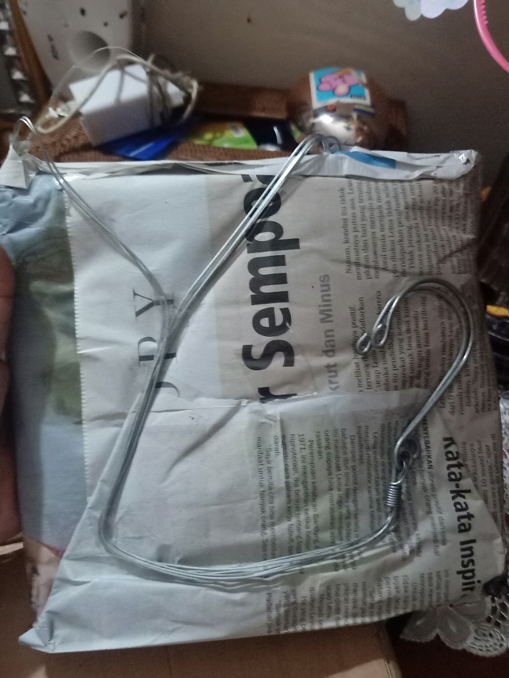 Tilandsia Atau Jenggot Musa Atau Jenggot Dewa 40 Cm