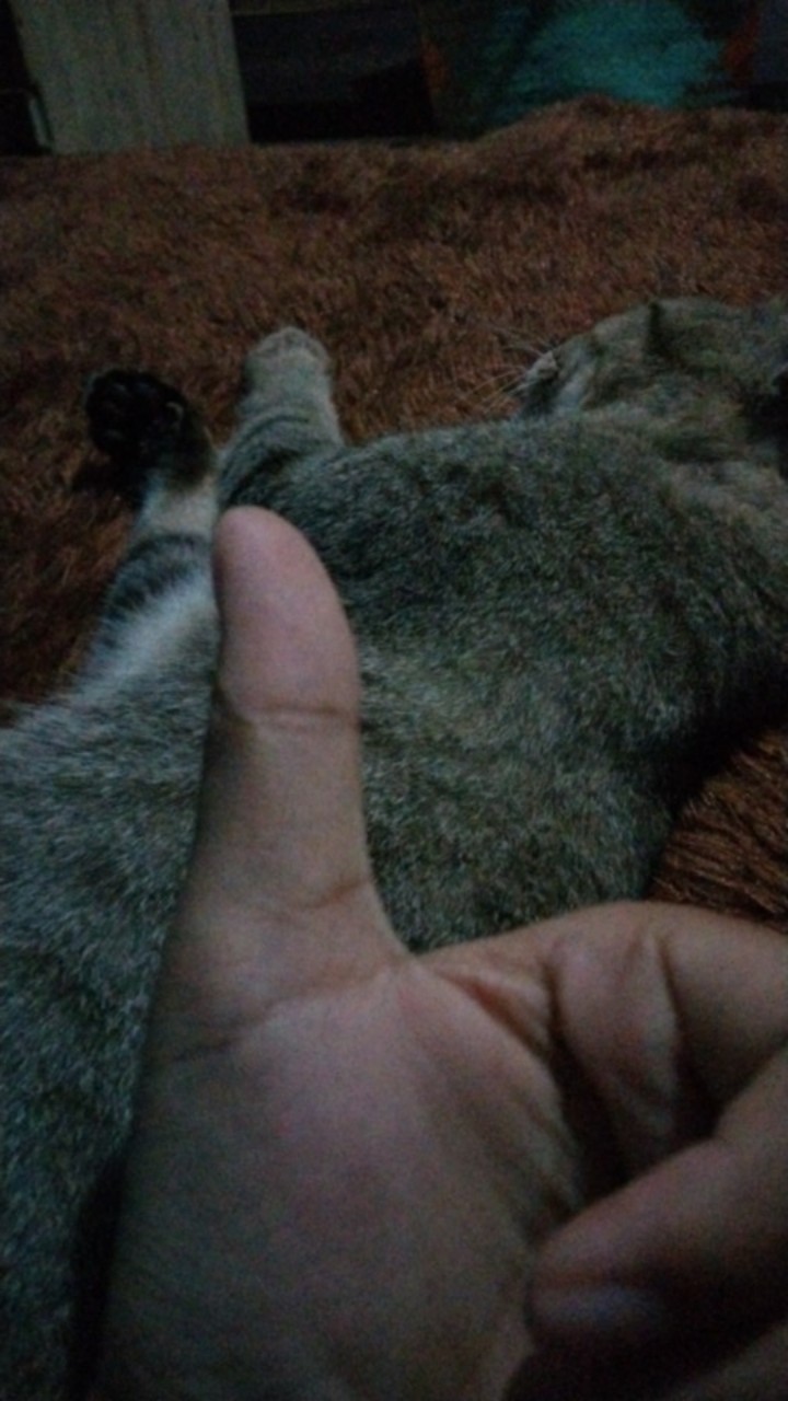 Sprayer Gun Spray Air Brush Jet Cleaner Washer Nosel Pistol Tembakan Semprotan Air Mesin Steam