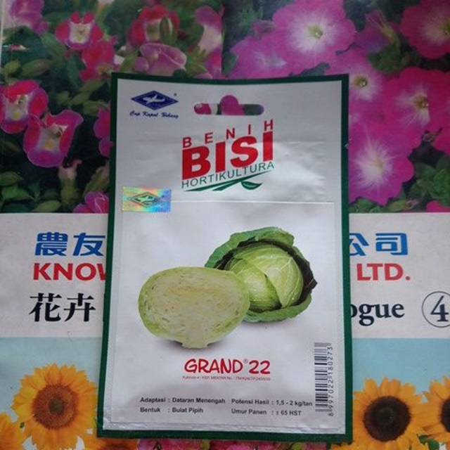 Benih Biji Bibit Sayur Kubis GRAND 22