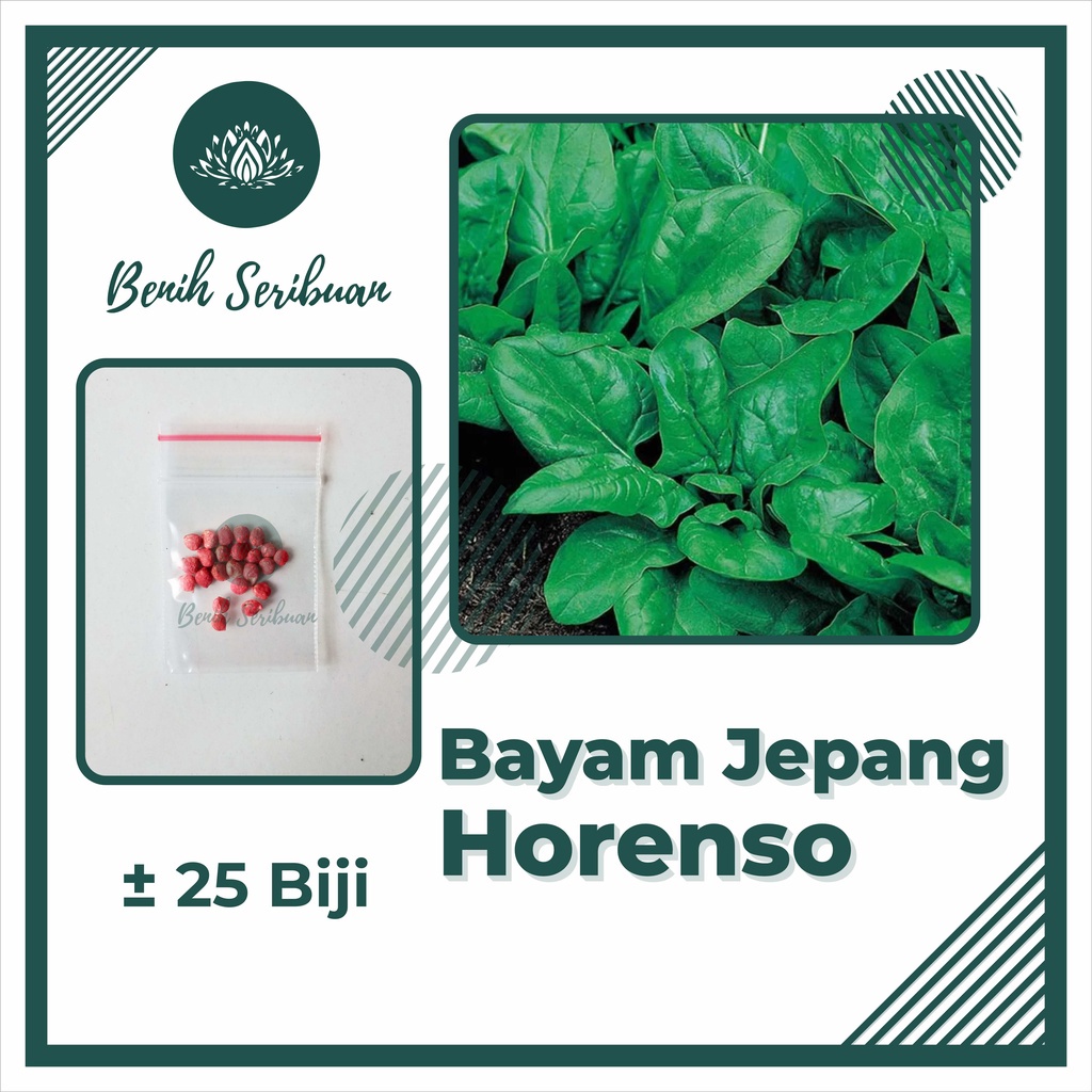 TERMURAH Bibit Sayuran Benih Sayur Paket Lengkap Tanaman Hidroponik Kangkung Bayam Cabe Sawi Unggul-BAYAM JEPANG