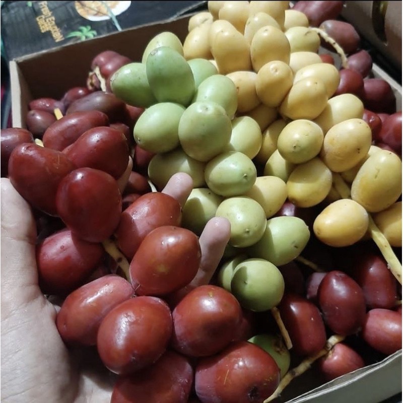 

PAKET KURMA 500 gram , HABBATUSAUDA 100 gram , MADU MURNI