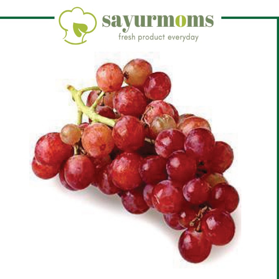 

Anggur Merah Import 500 gram - 1 kg Surabaya