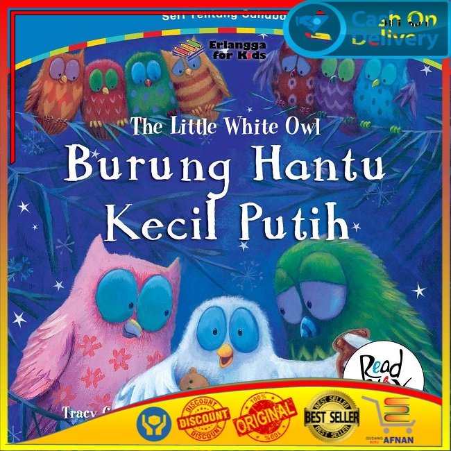 BURUNG HANTU KECIL PUTIH
